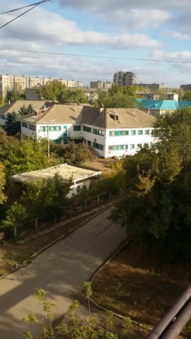Берёзка